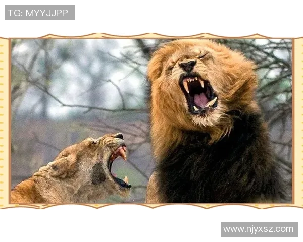 圣保罗与麦竞技激战正酣谁能在这场对决中笑到最后